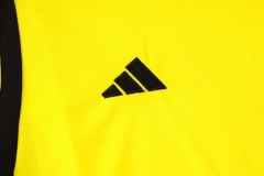 Flamengo 24/25 Sleeveless Jersey and Shorts Set Yellow D989
