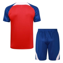 Atletico Madrid 23/24 Training Shirt and Shorts Set D926