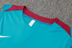 PSG 24/25 Sleeveless Jersey and Shorts Set D1027