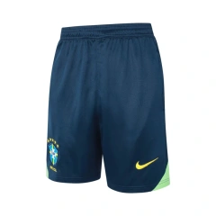 Brazil 2024 Training Shirt and Shorts Set D991