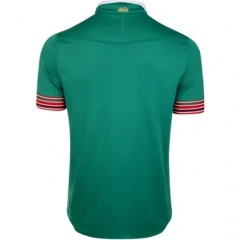 British & Irish Lions Mens Training Pro Jersey Green