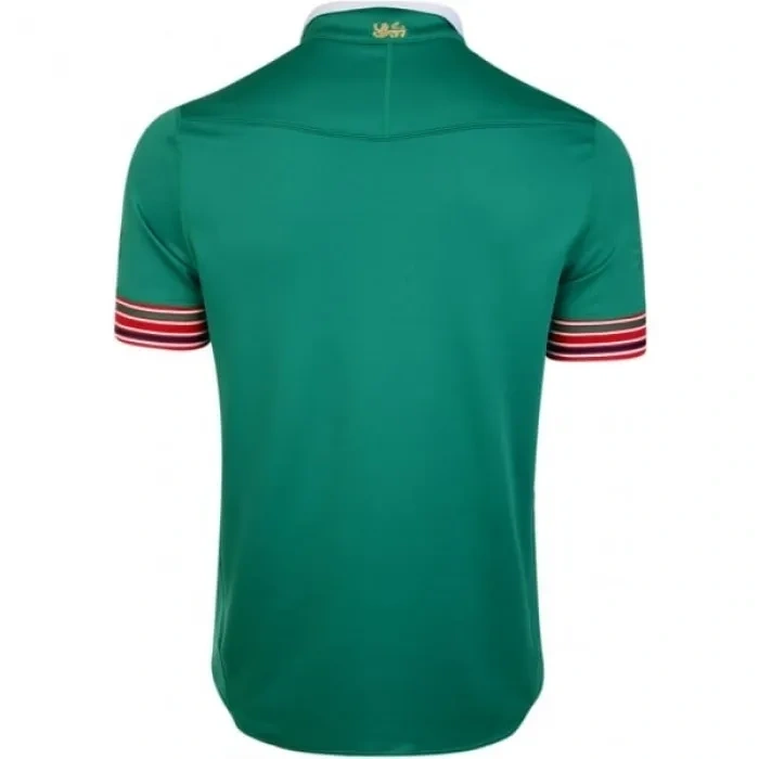 British & Irish Lions Mens Training Pro Jersey Green