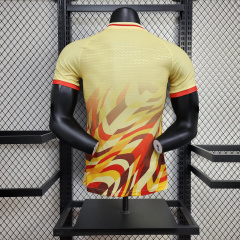 Spain Special edition player 24/25 Football team shirt jersey