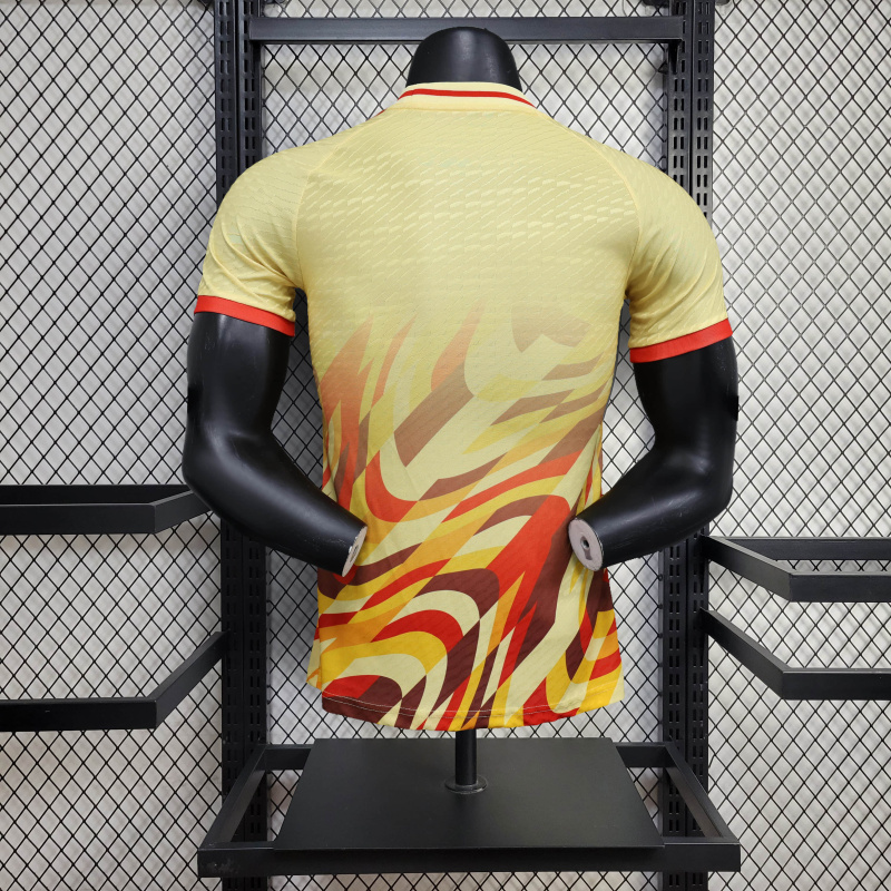 Spain Special edition player 24/25 Football team shirt jersey