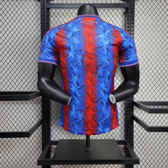 Crystal Palace Home player 24/25 Football team shirt jersey