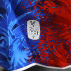 Crystal Palace Home player 24/25 Football team shirt jersey