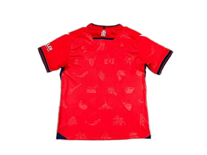 Osasuna Home 24/25 Football team shirt Jersey