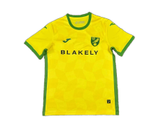 Norwich City Home 24/25 Football team shirt Jersey