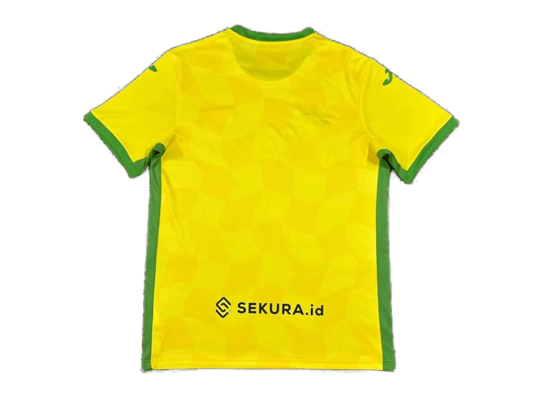 Norwich City Home 24/25 Football team shirt Jersey