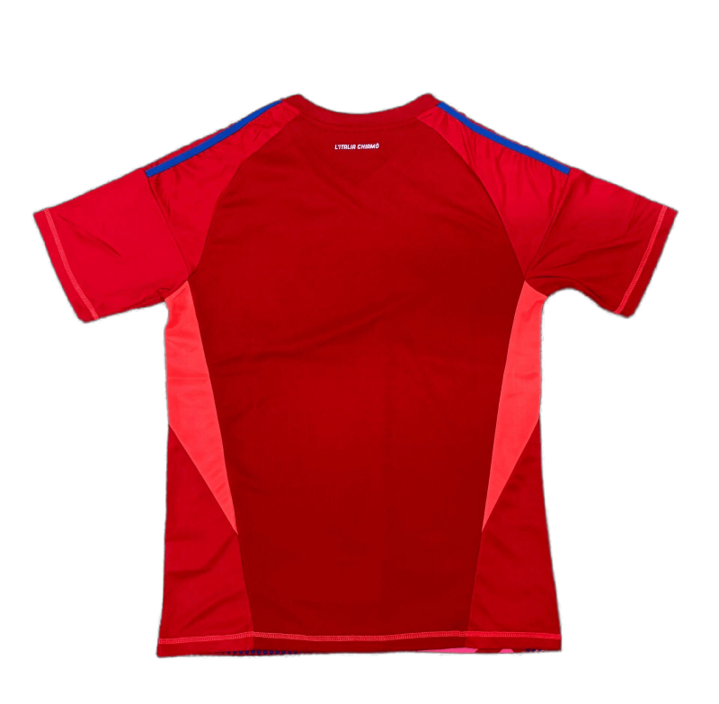 Italy Goalkeeper 24/25 Football team shirt Jersey