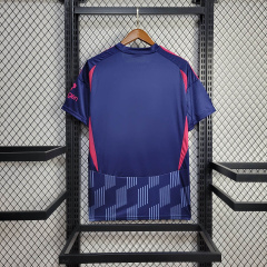 Nottingham Forest Away 24/25 Football team shirt  jersey