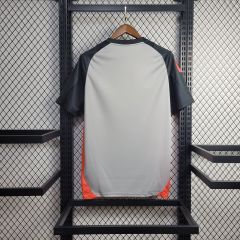 Benfica Training uniform 24/25 football team shirt Jersey