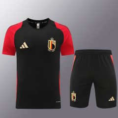 Belgium Training suit kit 24/25 Football team shirt Jersey Sports shirt