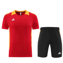 Adidas Short sleeve training kit 24/25 Football team shirt Jersey Sports shirt