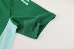 Adidas Short sleeve training kit 24/25 Football team shirt Jersey Sports shirt