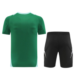 Adidas Short sleeve training kit 24/25 Football team shirt Jersey Sports shirt