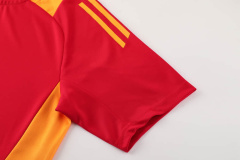 Adidas Short sleeve training kit 24/25 Football team shirt Jersey Sports shirt