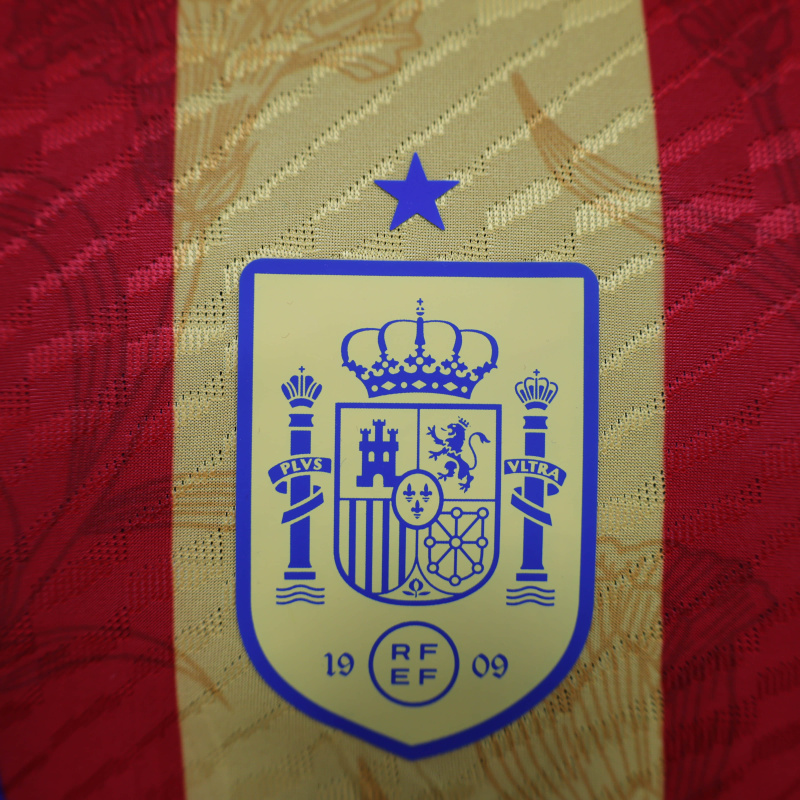 Spain Pre-match training shirt player 24/25 Football team shirt Jersey Sports shirt