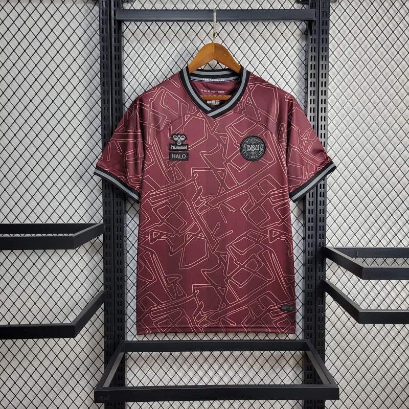 Denmark Special edition shirt 24/25 Football team shirt Jersey Sports shirt