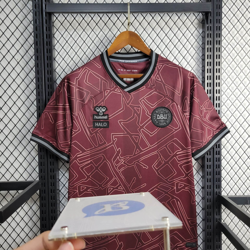 Denmark Special edition shirt 24/25 Football team shirt Jersey Sports shirt