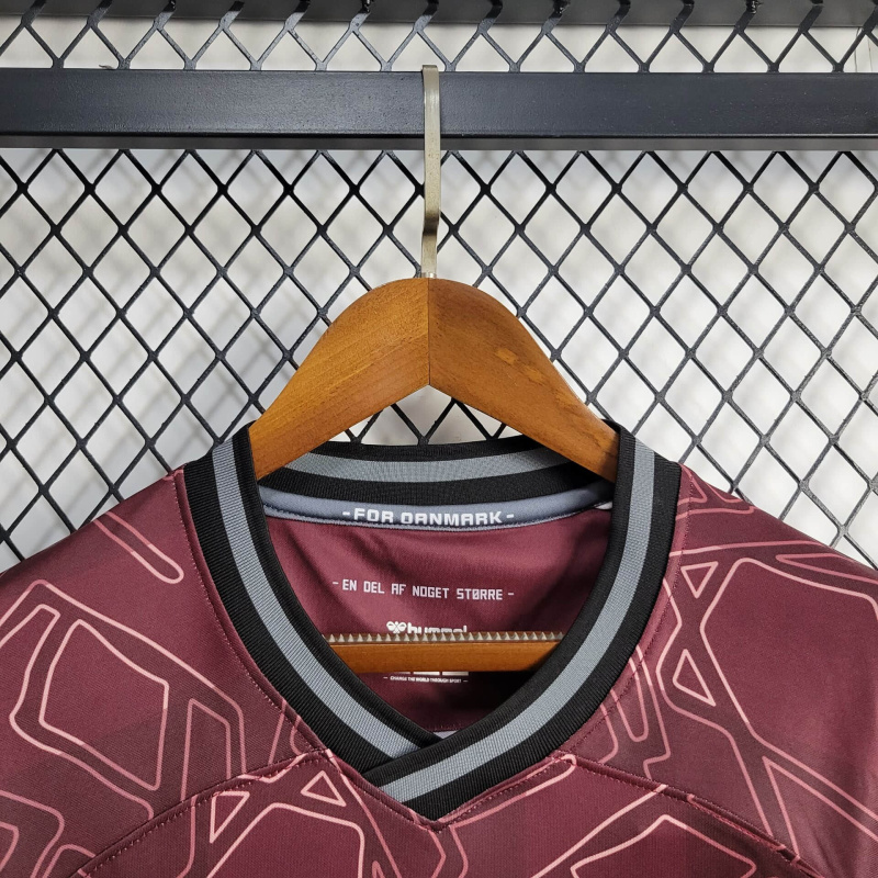Denmark Special edition shirt 24/25 Football team shirt Jersey Sports shirt