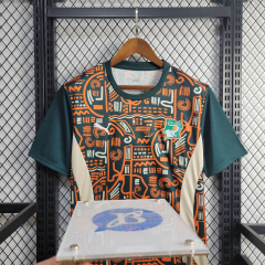 Ivory Coast Training shirt 24/25 Football team shirt Jersey Sports shirt