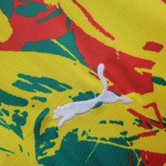 Senegal Pre-match training shirt 24/25 Football team shirt Jersey Sports shirt