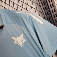 Cruzeiro training shirt 24/25 Football team shirt Jersey Sports shirt