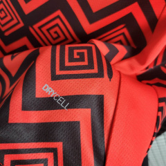 Egypt Pre-match training shirt 24/25 Football team shirt Jersey Sports shirt