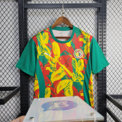 Senegal Pre-match training shirt 24/25 Football team shirt Jersey Sports shirt