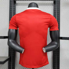 Player Arsenal match training uniform 25/26 Football team shirt Jersey Sports shirt