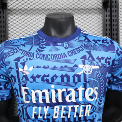 Player Arsenal match training uniform 25/26 Football team shirt Jersey Sports shirt