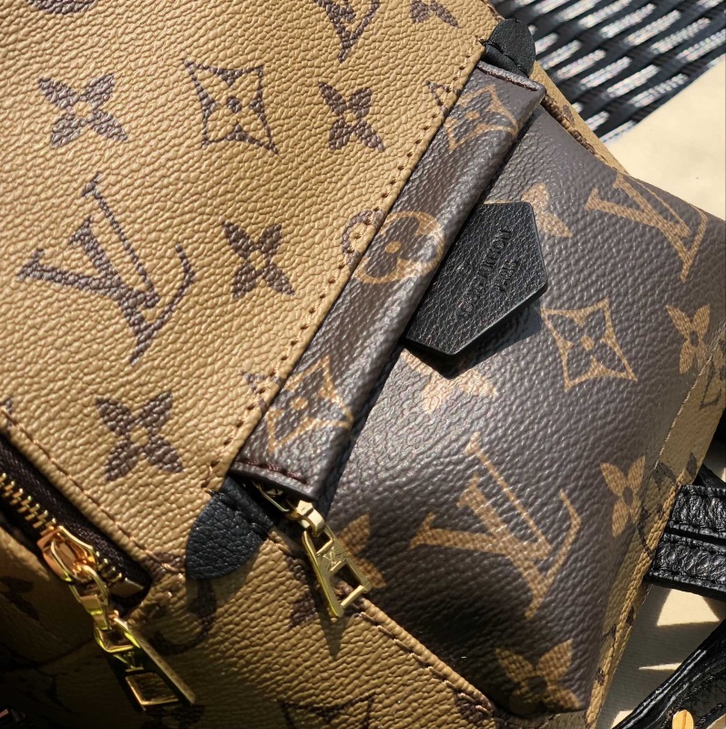 LV bag size 17 x 22 x 10 cm