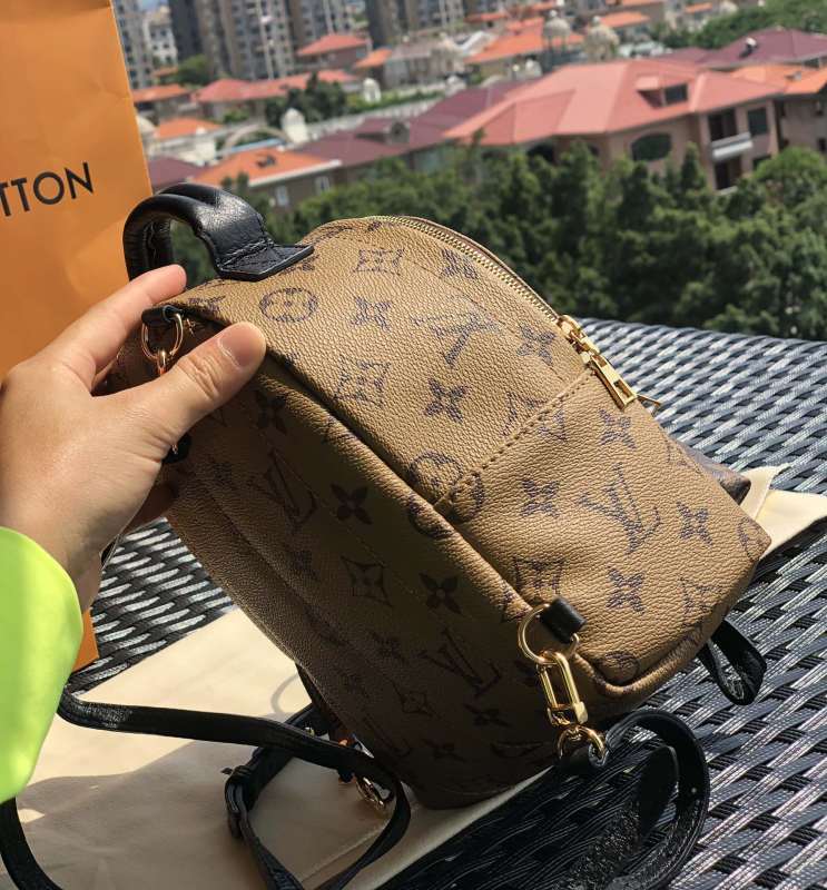 LV bag size 17 x 22 x 10 cm
