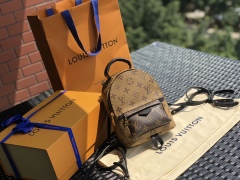 LV bag size 17 x 22 x 10 cm