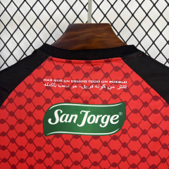 Palestino Training Jersey 25/26 new season Football Jersey Sports shirt