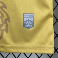 Santos Training Jersey 2025/2026 Season Football Jersey Sports Shirt