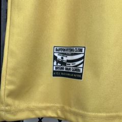 Santos Training Jersey 2025/2026 Season Football Jersey Sports Shirt