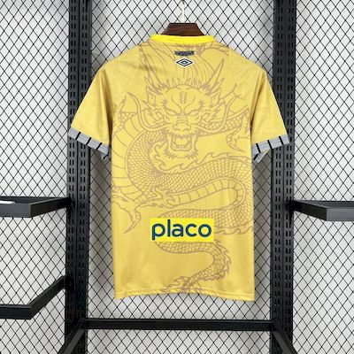 Santos Training Jersey 2025/2026 Season Football Jersey Sports Shirt