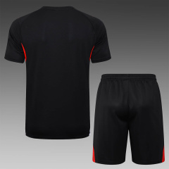 Bayern Munich Short sleeve training kit 2025/2026 New Season Football Jersey Sports Shirt