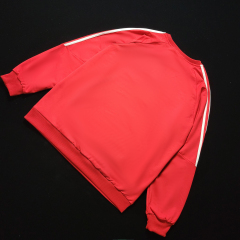 Benfica sweater 25/26 Football team shirt Jersey Sports shirt