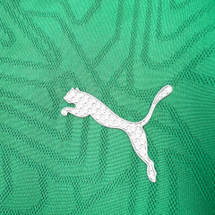 Palmeiras Training Kit 2025/2026 New Season Football Jersey Sports Shirt