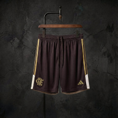 Flamengo 2026/2027 Training Shorts - Brown