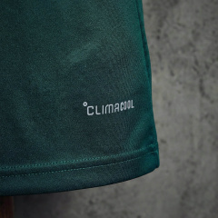 Mexico Training Jersey 2026 Jersey