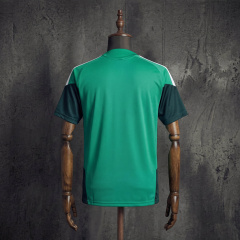 Algeria Training Kit FIFA World Cup 2026 New Season Football Jersey Sports Shirt