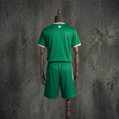 Kids Kit Ireland Home 2026 Jersey