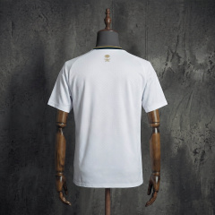 Saudi Arabia Away 2026 Jersey S-4XL