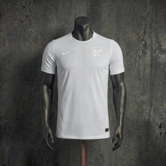 Player Version Norway Second Away FIFA World Cup 2026 Jersey, Sizes S-XXL