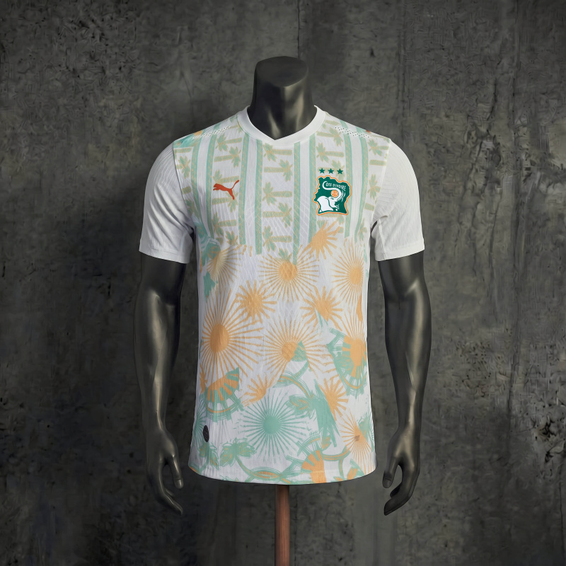 Côte d'Ivoire National Team 2026 Away Jersey Player Version Football Shirt S-XXL