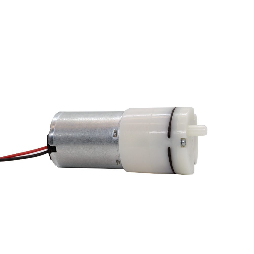 BL2430P I Mini Vacuum Pump Pump With Brushless DC Motor,Shenzhen Zhongda Motor Co., Ltd. 